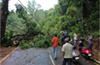 Moodbidri: Heavy rain with strong winds; tree falls on car, causes damage